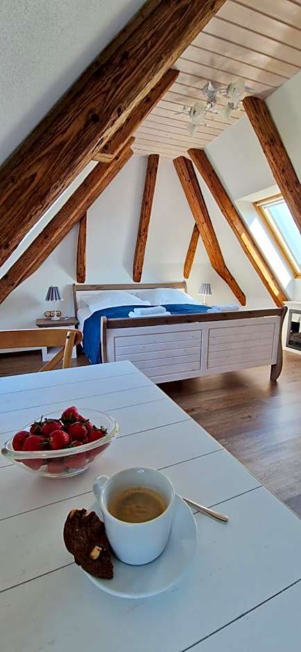 Waldvogel Ferienzimmer klimatisiert