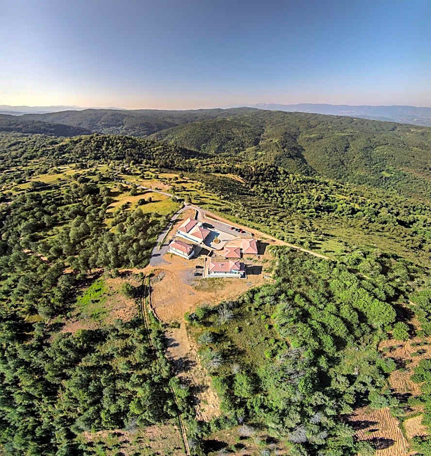 Foresta in Medias Mores