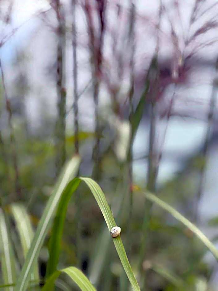 Hotel Säntis Teufen