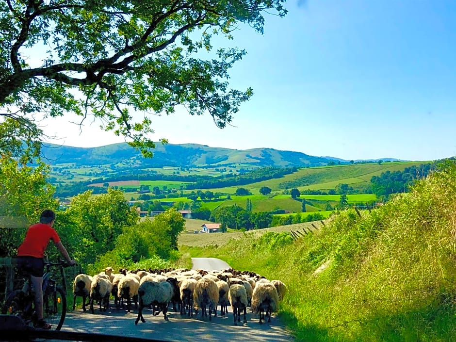 Maison " Elixondoa "