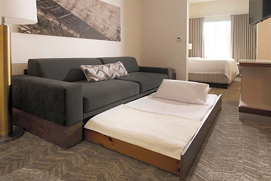 SpringHill Suites by Marriott Austin The Domain Area
