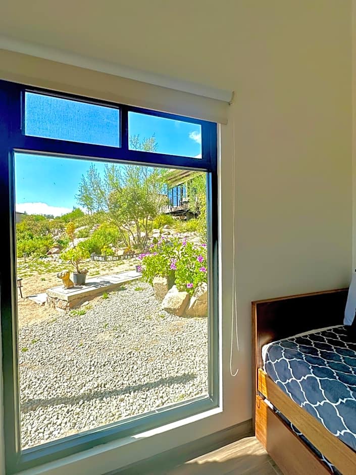 Oasis 444