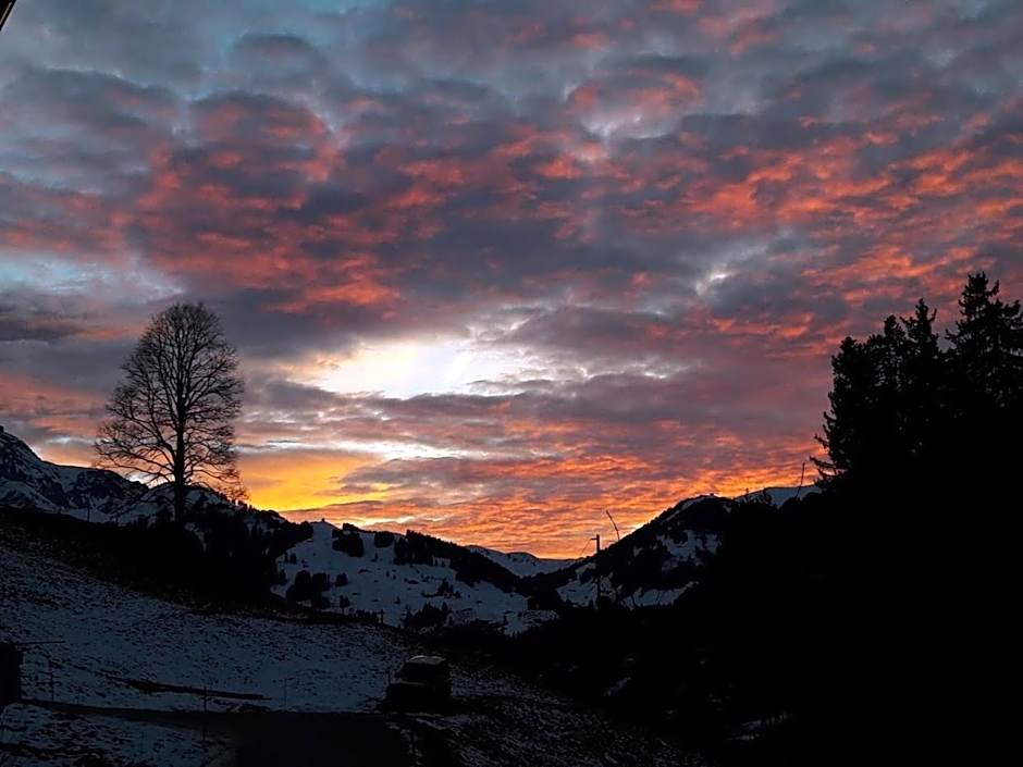 Ferien in der Bergwelt von Adelboden
