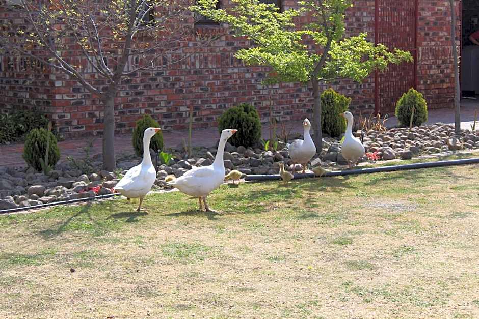 Gaggle Inn Guest Lodge