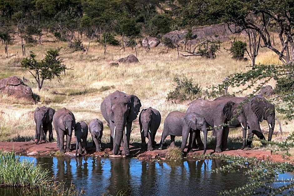 Four Seasons Safari Lodge Serengeti Tanzania