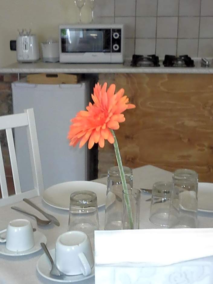 B&B Happiness in the Country