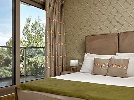 Luxury Room