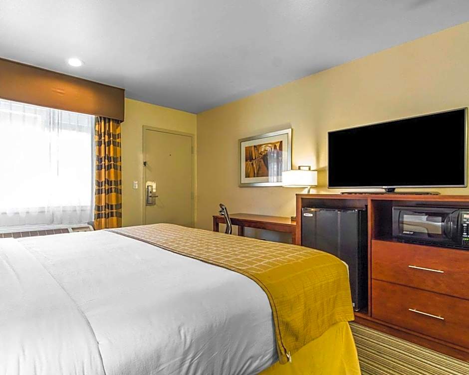 Rodeway Inn