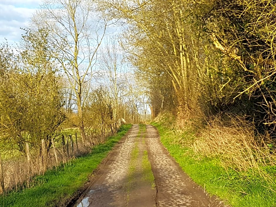 Boslucht Leuven