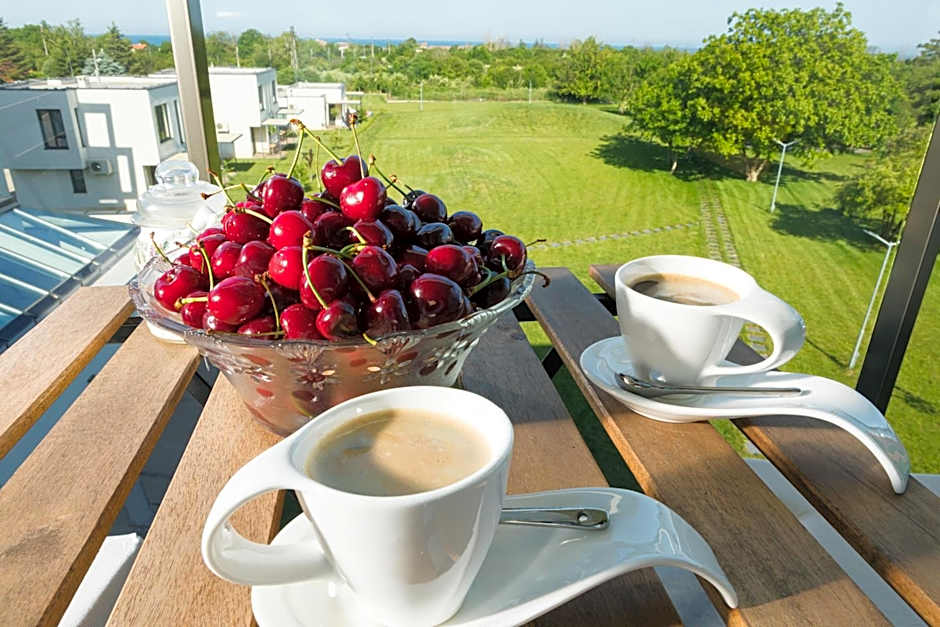 Luxury apartment Vodolei