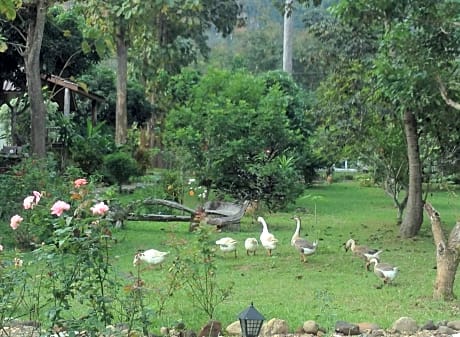 At Home Chiang Dao Resort