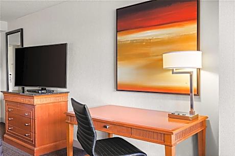 Queen Room with Mountain View