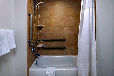 1 Bedroom Studio Suite, 1 Queen, Sofa bed (Mobility &amp; Hearing Accessible w/ Roll-in Shower)