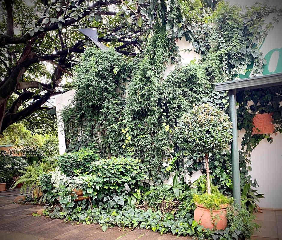 La Bella B&B Under The Fig Tree
