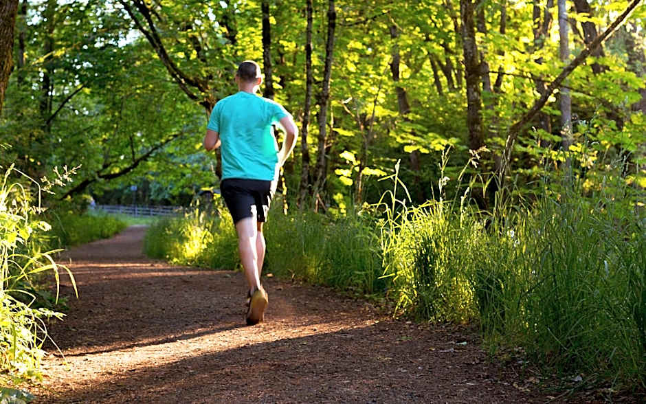 Holiday Inn Express Hotel & Suites Eugene Downtown - University By IHG