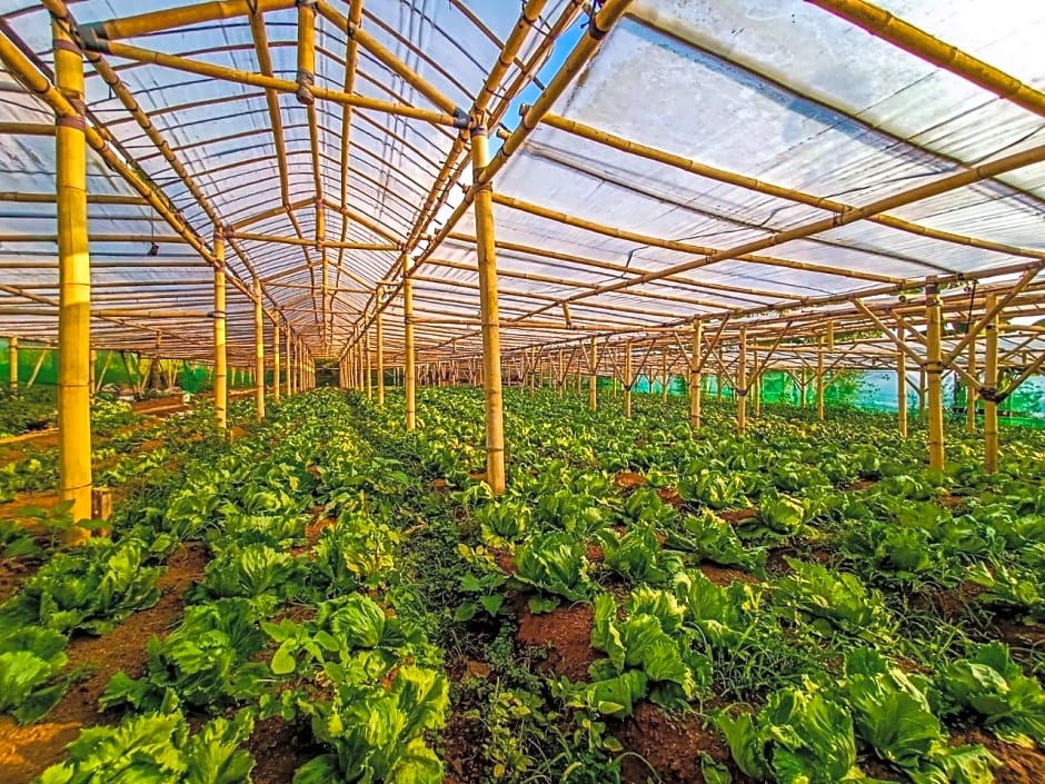 Mulberry Hill by The Lodge