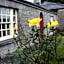 Forest Park House B&B