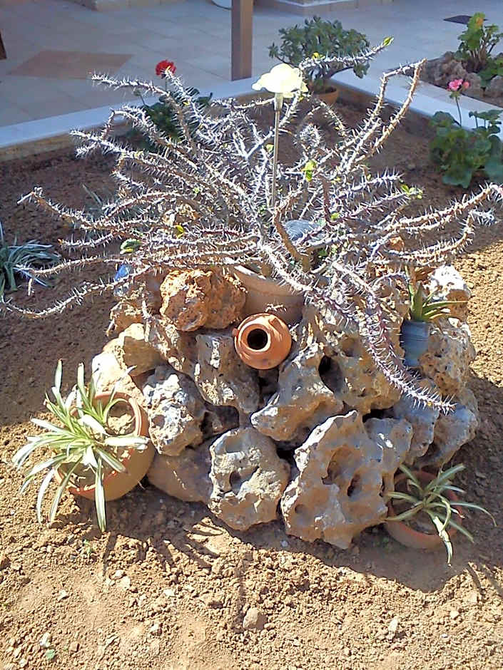 Nicolas Studios & Apartments