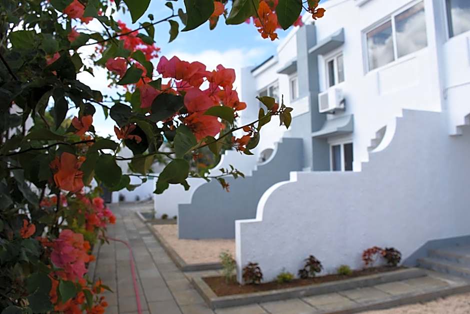 Stella Rina "Adults Only"