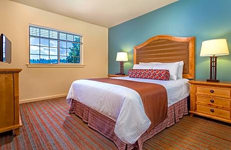 1 Bedroom Suite