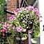 Anton Guest House Bed and Breakfast