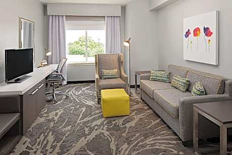 1 KNG 1 BDRM STE MOBILITY ACCESS W/RI SHWR