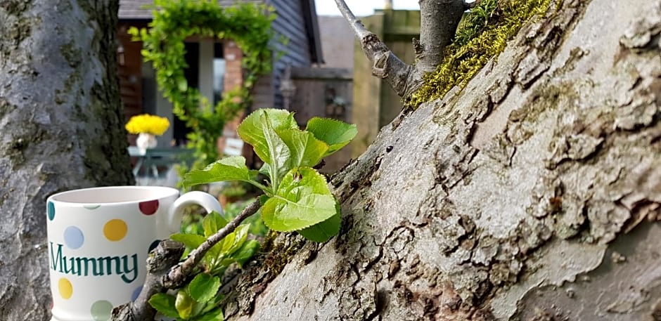 The Dorm Bed and Breakfast