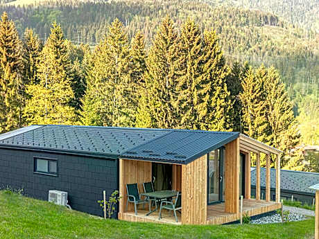 Modern chalet with air conditioning