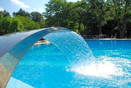 Gloria St. Constantine