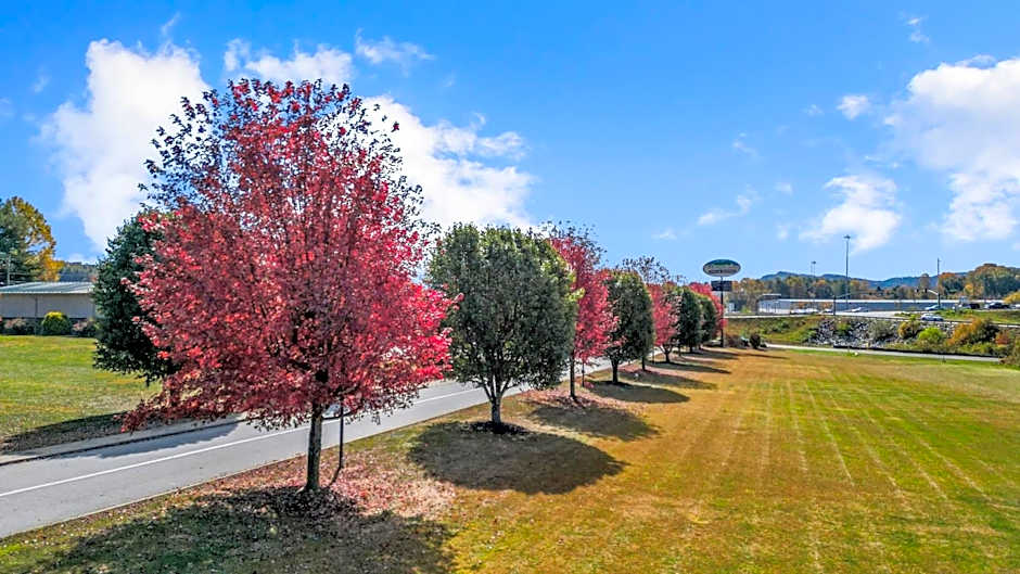 Mountain Inn & Suites Flat Rock