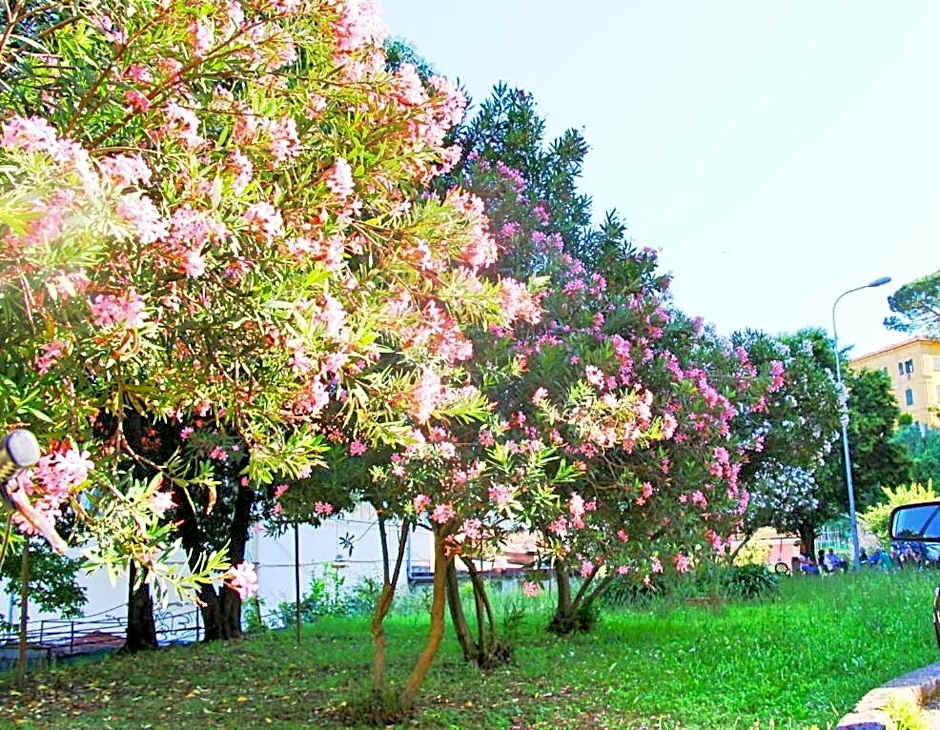 The Comfort apartment