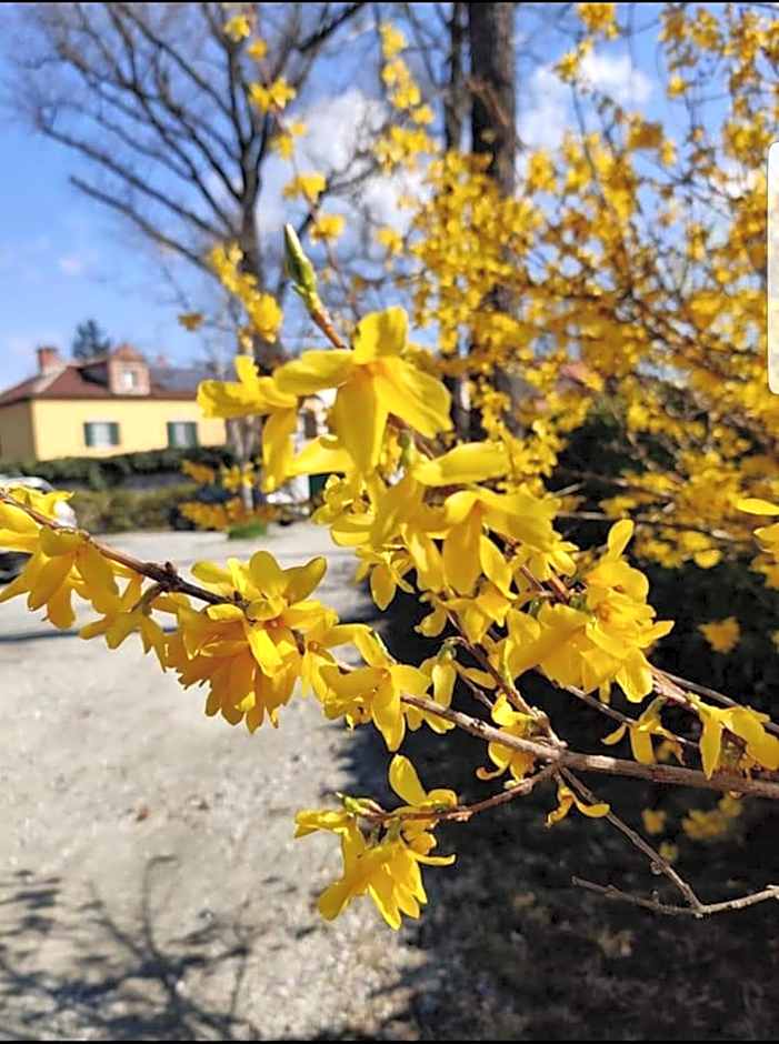 Bed&Breakfast Villa Camilla – Ivrea, NY
