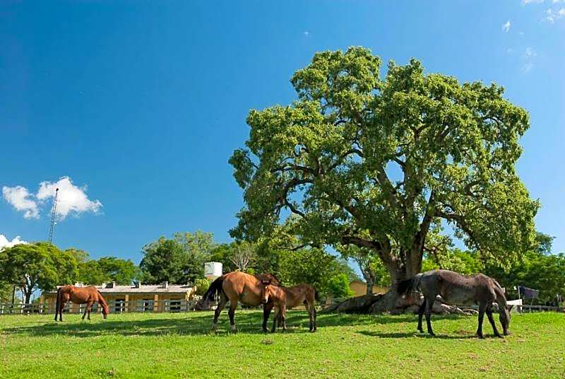 Pousada Chácara das Roseiras
