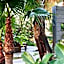 Weibdeh Heights Hotel Suites