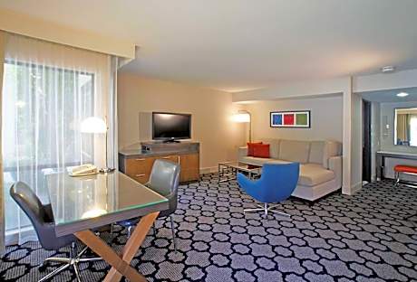 Junior Suite with Pool View (No Resort Fees)