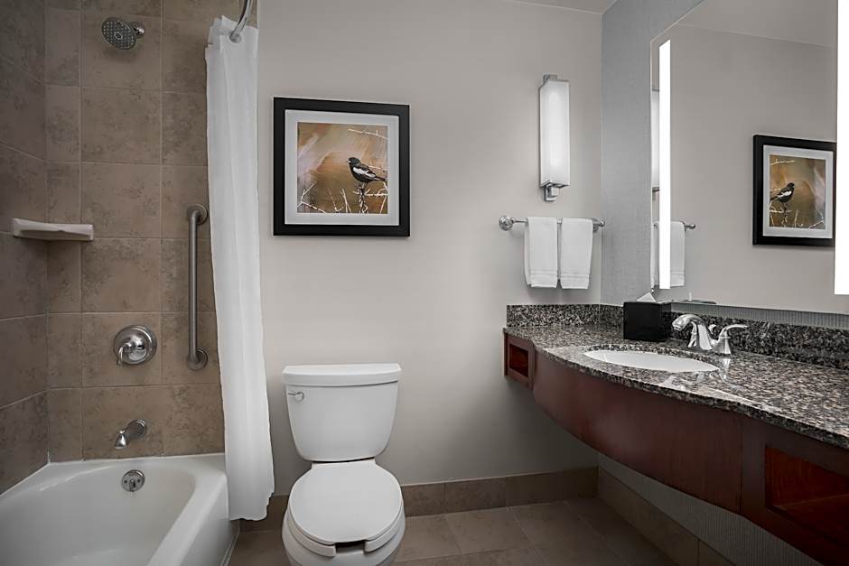 Photo 1 of 4 of 1 King Bed, Hearing/Mobility Accessible, Bathtub