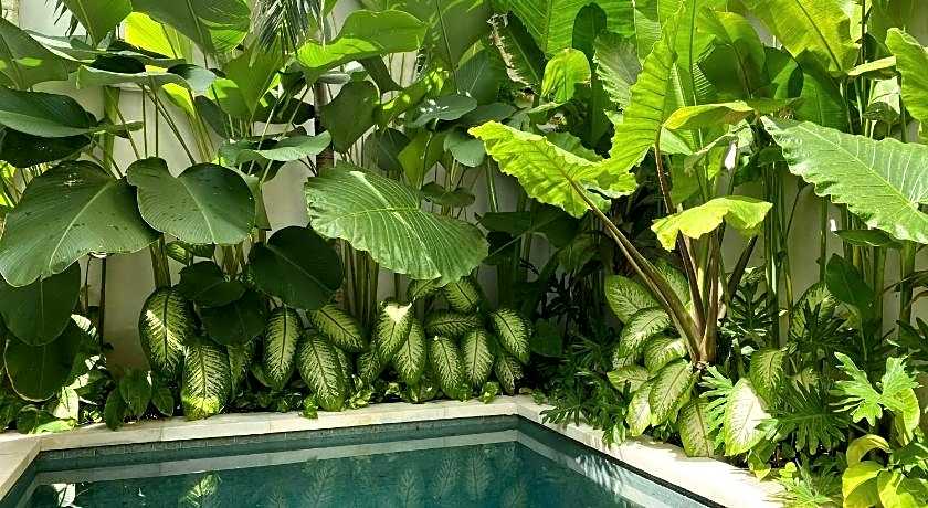 Alma Bingin Boutique Hotel