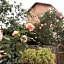 Albergo Avalon