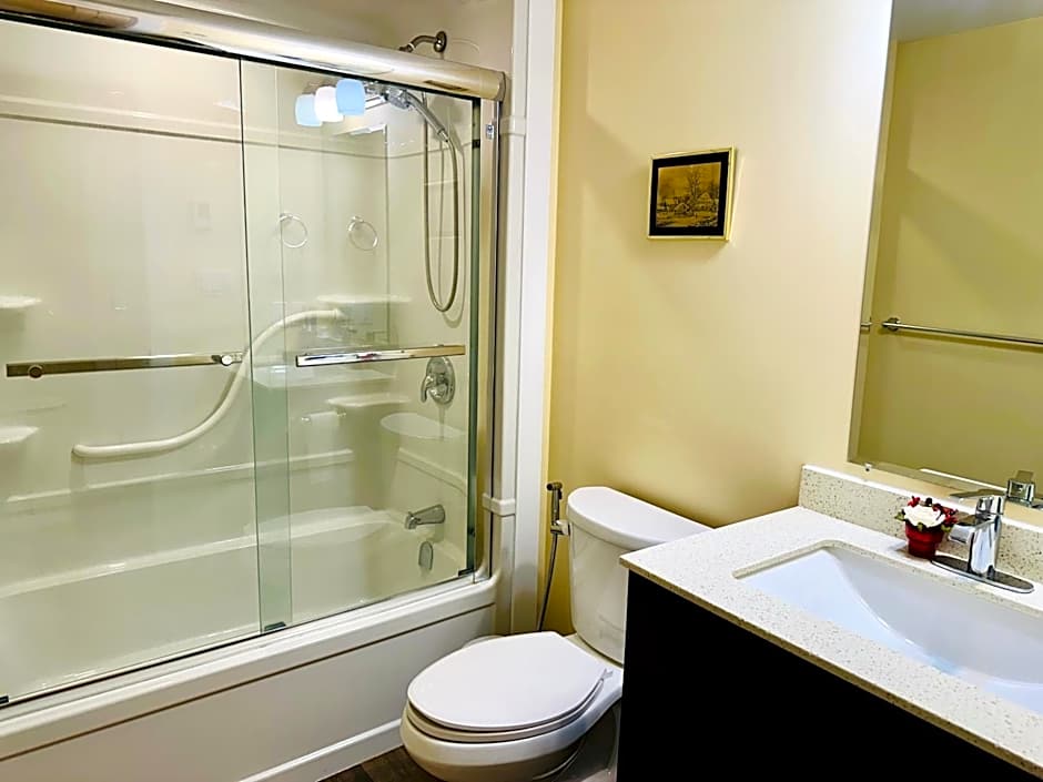 Luxurious Basement Retreat