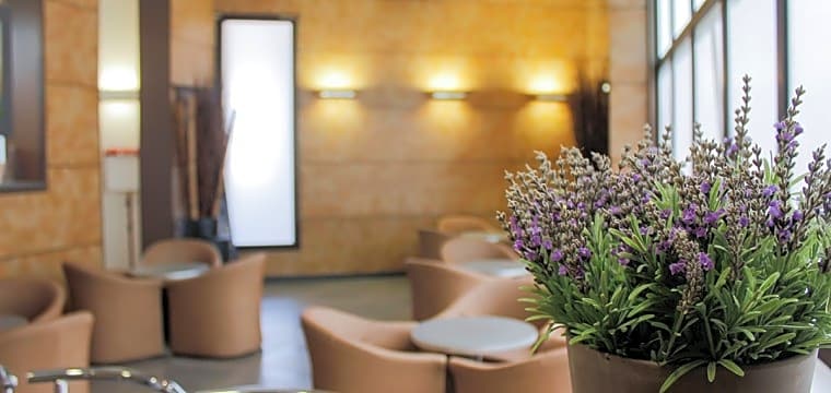 greet hotel Marseille Parc Chanot Velodrome