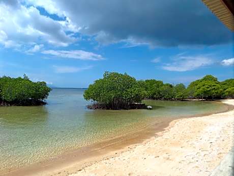 Mangrove Paradise Retreat