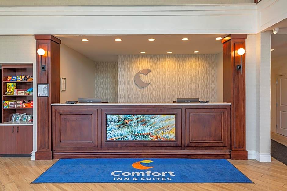 Comfort Inn & Suites East Greenbush