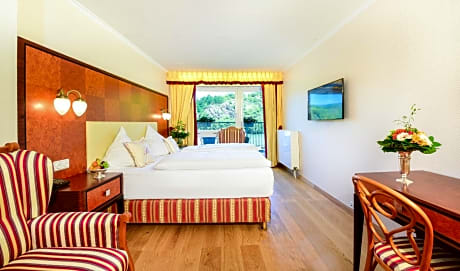 Double Room with Rhine view