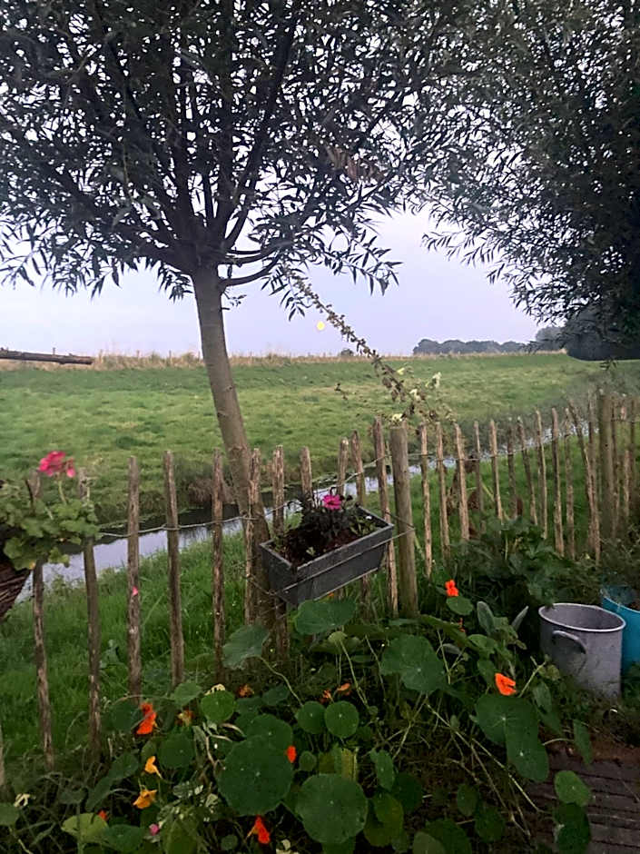 Rosa's zonnige huisje bij duinen bos en strand