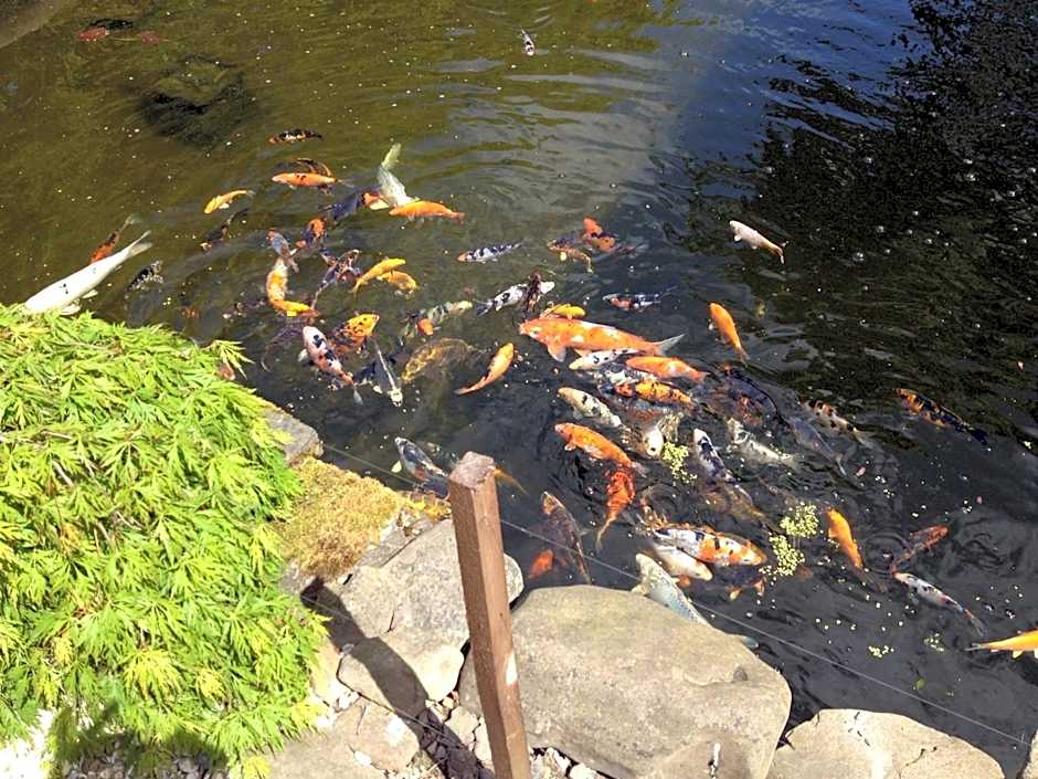 Philipburn Hotel, BW Signature Collection