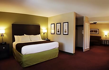 One-Bedroom Superior King Suite - Non-Smoking/2nd Floor