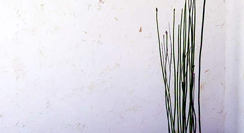 The RYOKAN O 