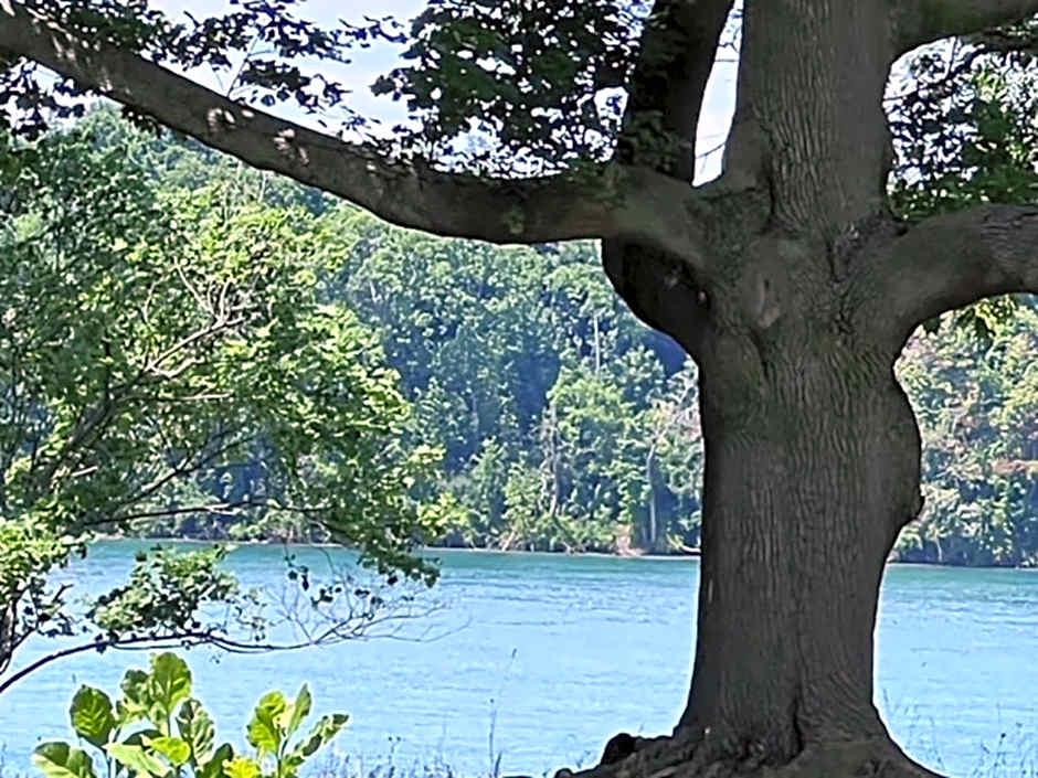 Niagara River Estate