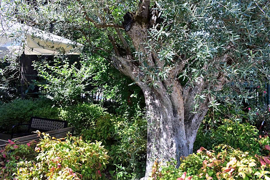 Hotel Ristorante La Rampina