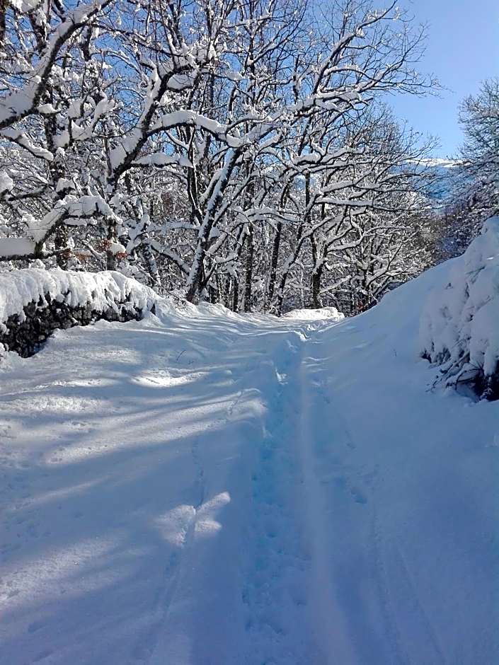 Hotel La Casa Chacinera